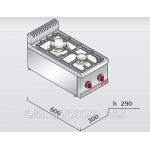 Газовая плита с 2 колонками